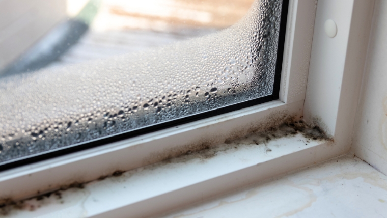 窓枠にカビが発生する主な原因を解説するバナー写真。結露による水分や、栄養となるホコリ、滞留する空気など、窓辺特有の環境要因を提示。