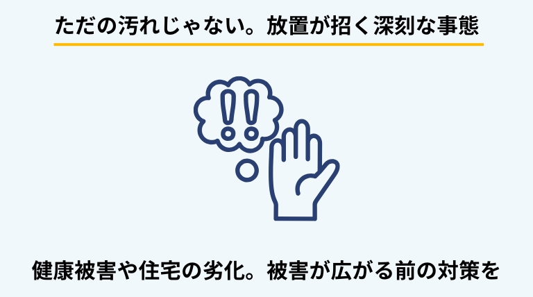 窓枠のカビを放置するリスクを解説するバナー。アレルギーなどの健康被害や、木枠の腐食・建物へのダメージ、カーテンへの転移リスクを提示。