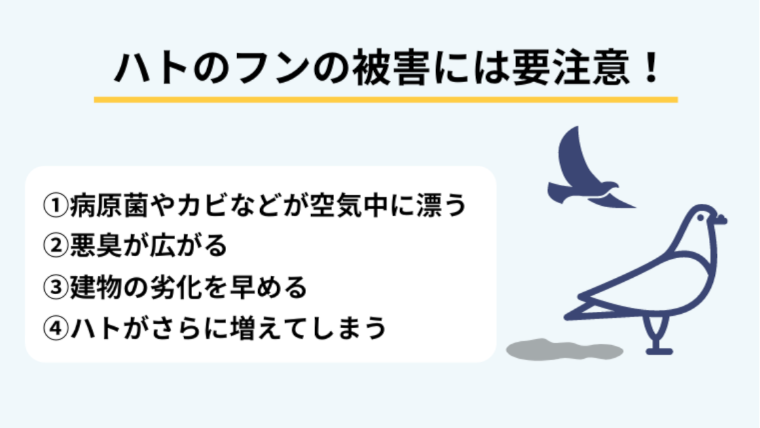鳩のフンを掃除せずに放置するリスク