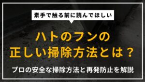 ハトのフンの安全な掃除方法・作業時の注意点・再発防止策・業者依頼のメリットを専門家が解説したアイキャッチ画像