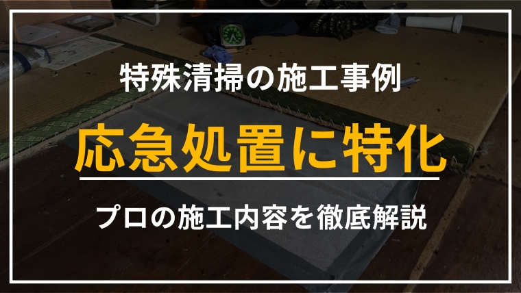神奈川県川崎市川崎区の孤独死特殊清掃|応急処置に特化した施工事例のアイキャッチ