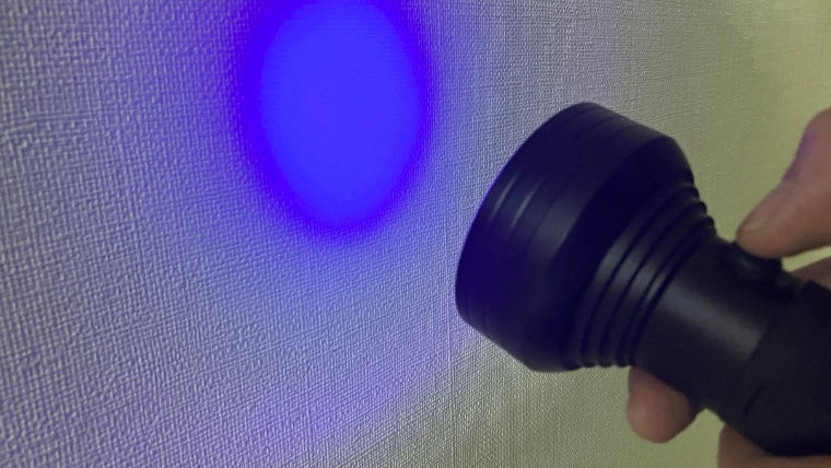 自社スタッフがブラックライトを壁面に照射し、ペットの尿による汚染箇所を実際に特定している様子