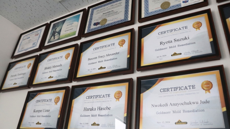 ブルークリーン株式会社のオフィスに額装されたGoldmorr Mold Remediation認定資格証などが複数枚壁に展示されている様子