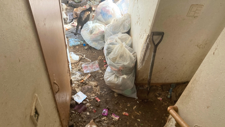 自社スタッフが撮影した猫の多頭飼育現場の廊下。ゴミ袋・排泄物・猫砂が堆積し床が汚損した実際の現場写真。スコップが置かれており重度の臭い汚染が生じている状態