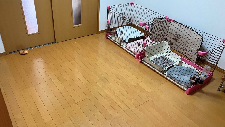 居室内に設置されたペットゲージの様子