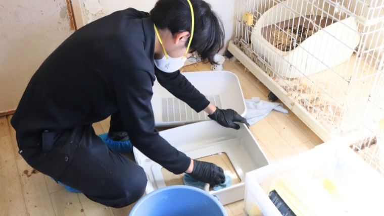 自社スタッフの男性がペットゲージの周囲を清掃している様子