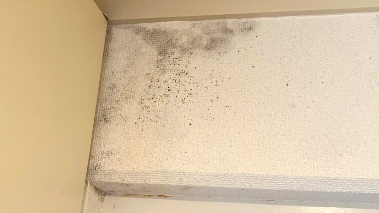 白い壁紙クロスに繁殖したカビと思われる黒い付着物