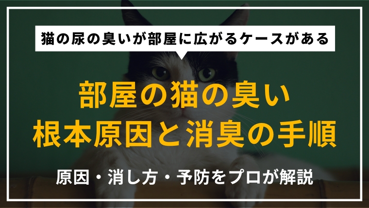 部屋が猫臭いのはなぜ？原因と今すぐできる消臭方法をわかりやすく解説記事のアイキャッチ